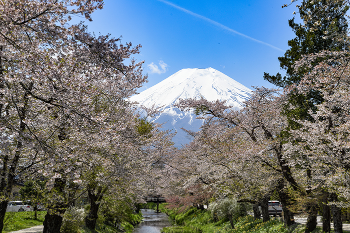 新名庄川より