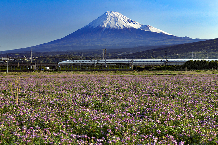 蓮華畑を疾走する富士山