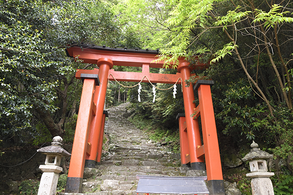 急な石畳と鳥居