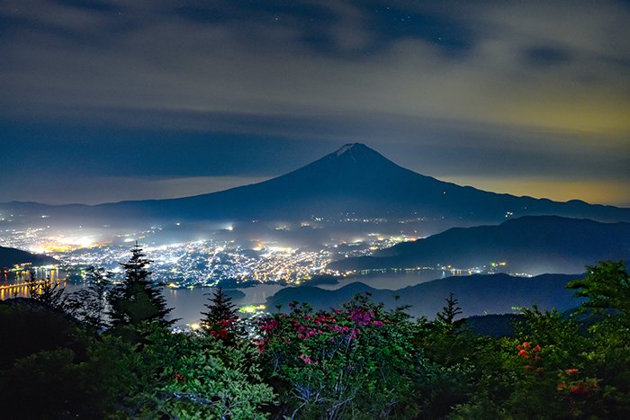 新道峠のレンゲツツジ