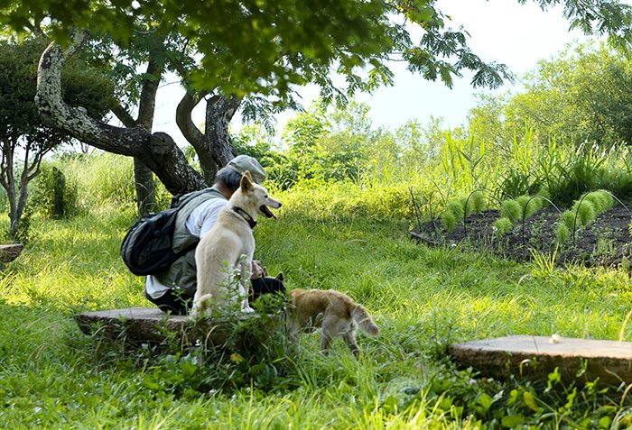 愛犬と老人