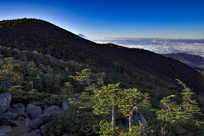 前国師岳からの富士山