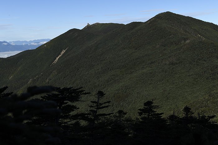 夢の庭園からは金峰山（きんぷざん）のオベリスク（岩の頂上）がみえます