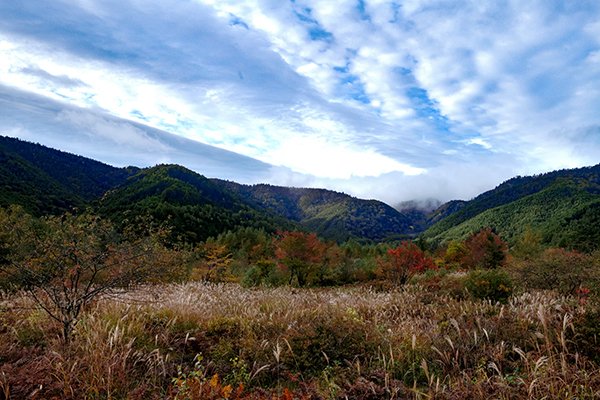 秋空と草紅葉