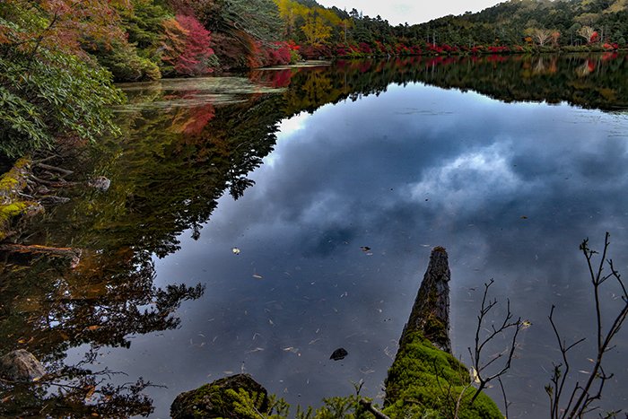 入り江の紅葉