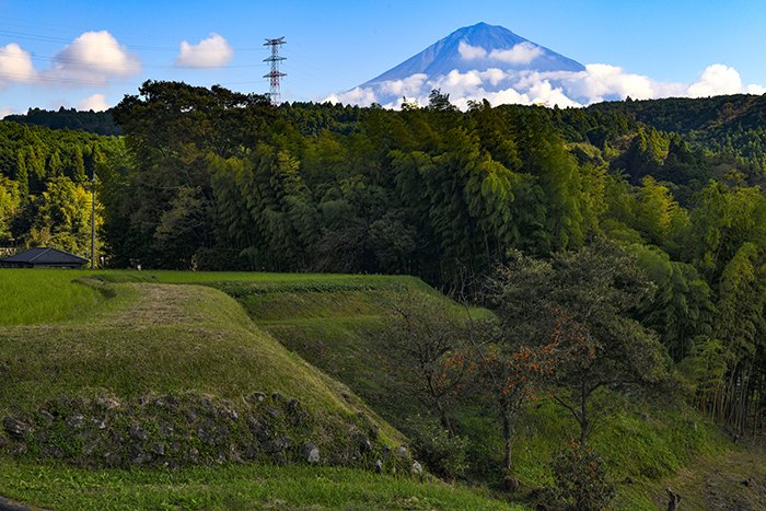 棚田の風景