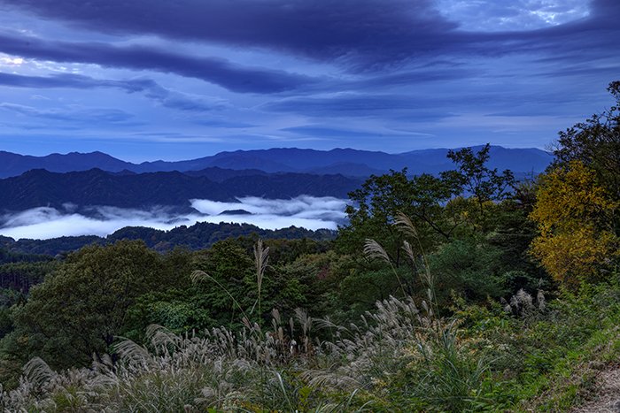 大峰高原の雲海