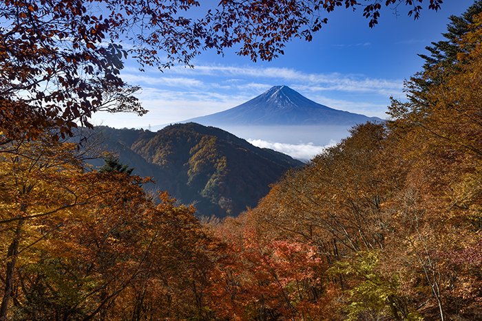 紅葉、峠の秋、到来