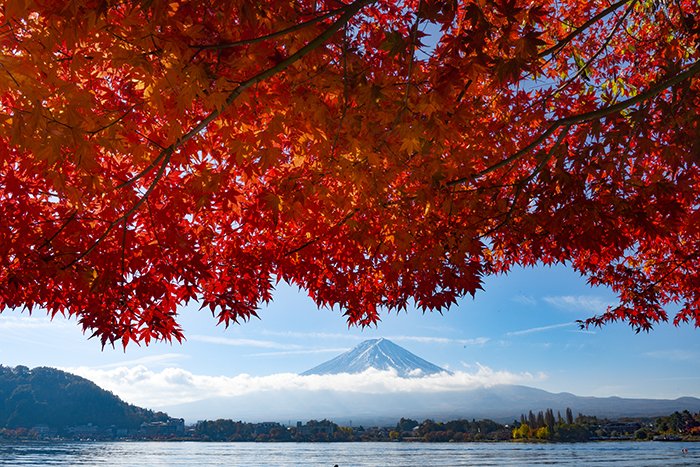 産屋ヶ崎からの紅葉と富士山