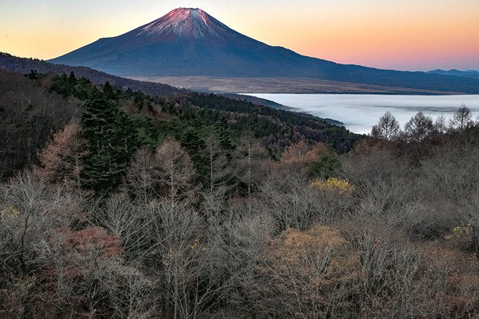 冬景色紅富士