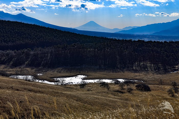 霧ケ峰湿原ごしの富士山