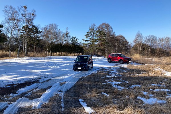 牧草地のある雪原で撮影