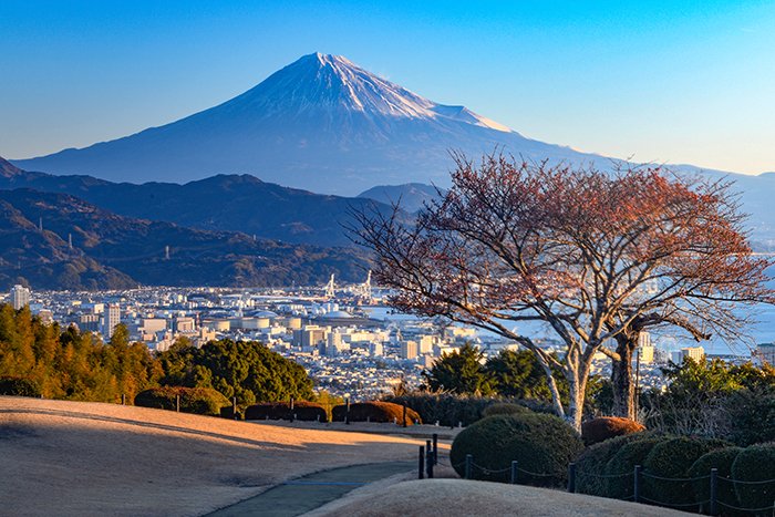 桜咲く