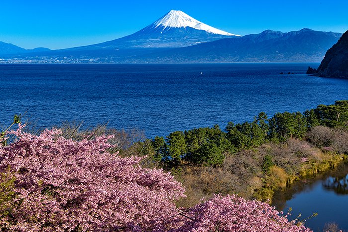 海、空、桜と富士山