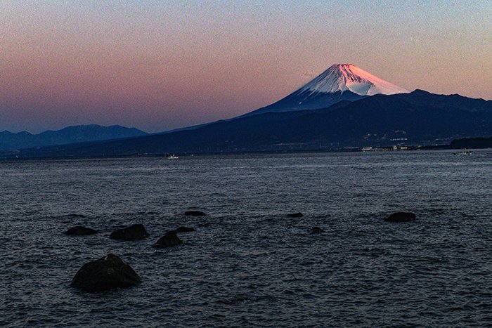 西浦海岸、紅富士