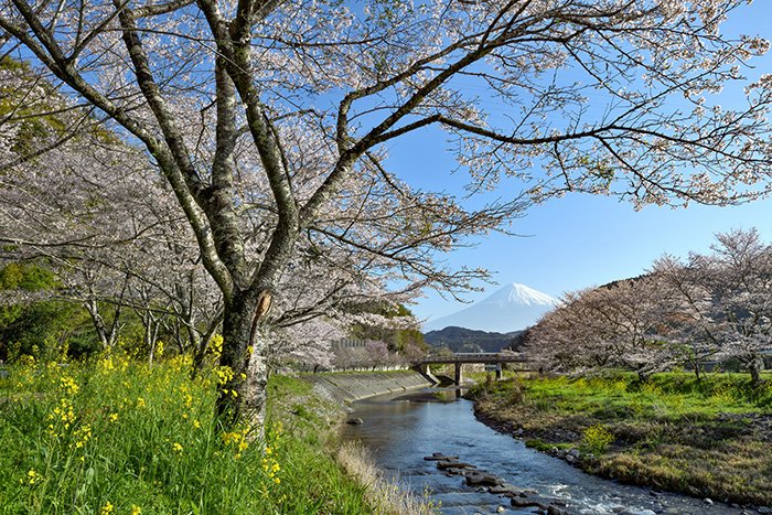 春の小川が流れてくるような里山の原風景