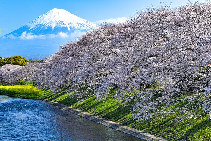 龍巌淵の春