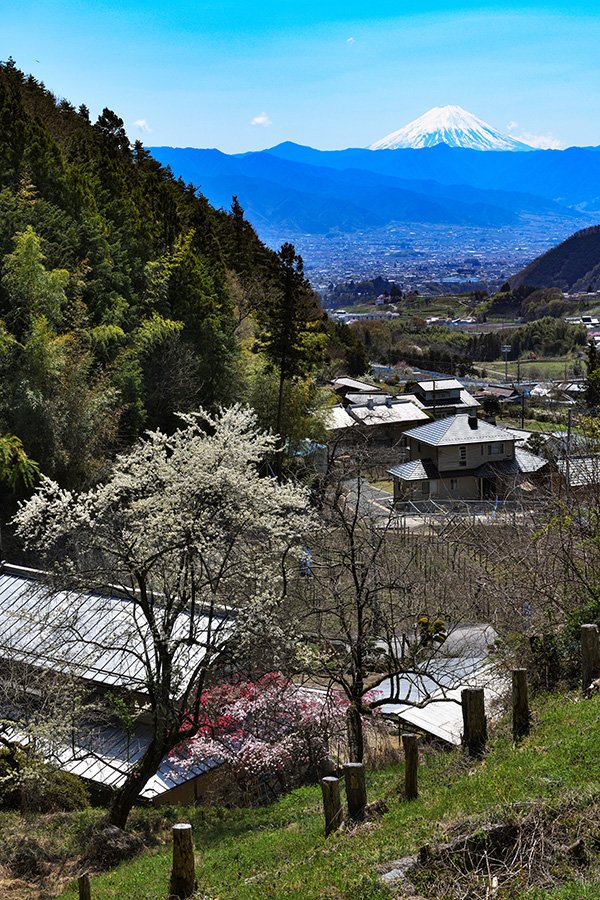 山梨市の里山の春