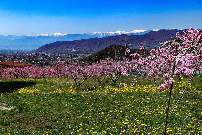 塩山桃源郷