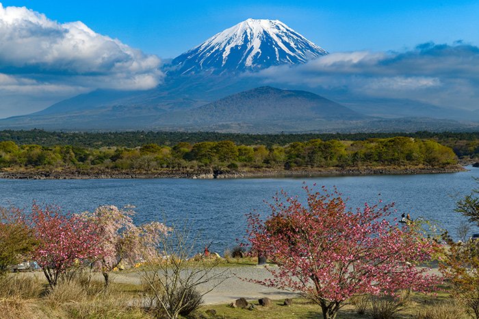 精進湖と桜と富士山