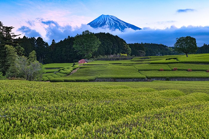 日の出前