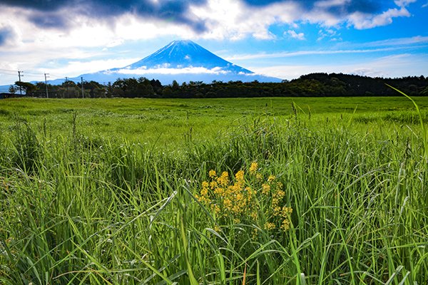 富士山の出現