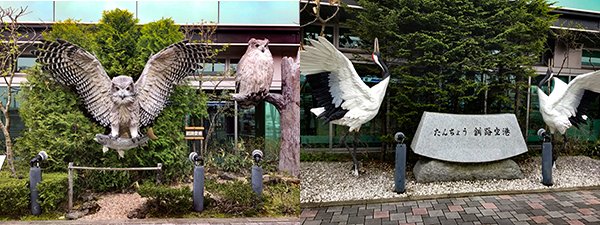 釧路空港で無事に荷物回収、レンタカー屋さんにゆく