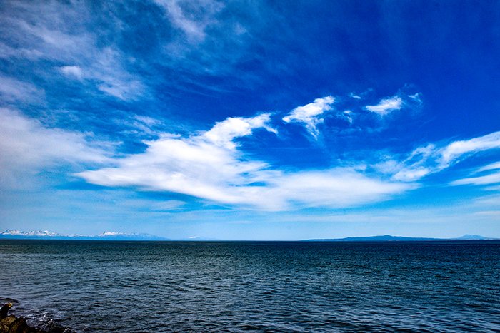 択捉島、国後島