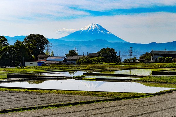 韮崎市、水田への映り込み