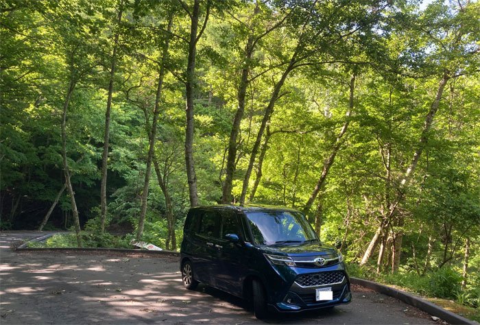 車をバス専用道路近くの退避域にとめます