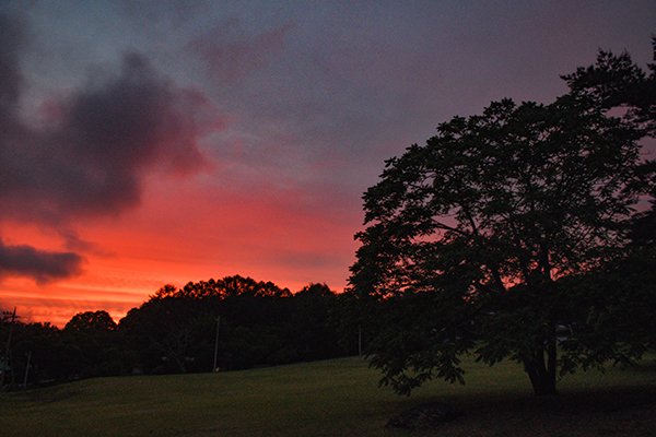 雨上がりの夕焼けがきれいだった