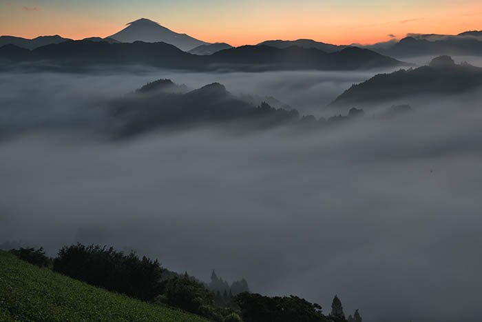 うごめく雲海と朝焼け富士