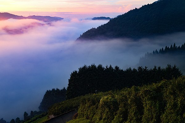 野を満たす雲海