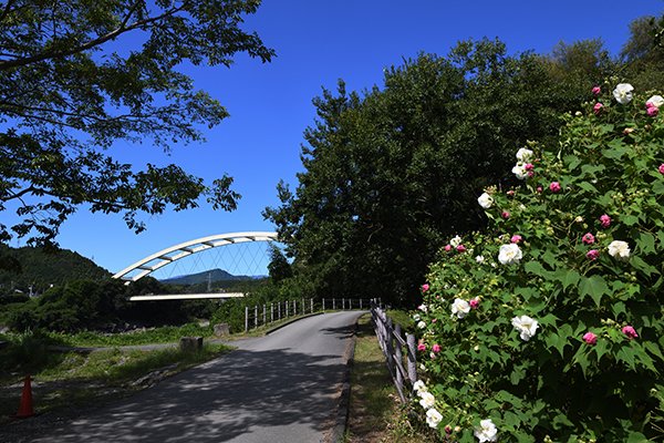 富士川蓬莱橋の河原にある