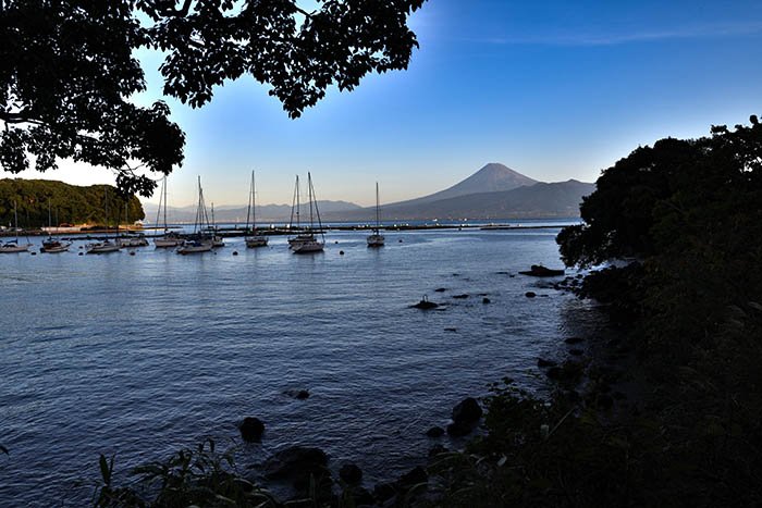 ヨットハーバーと富士山