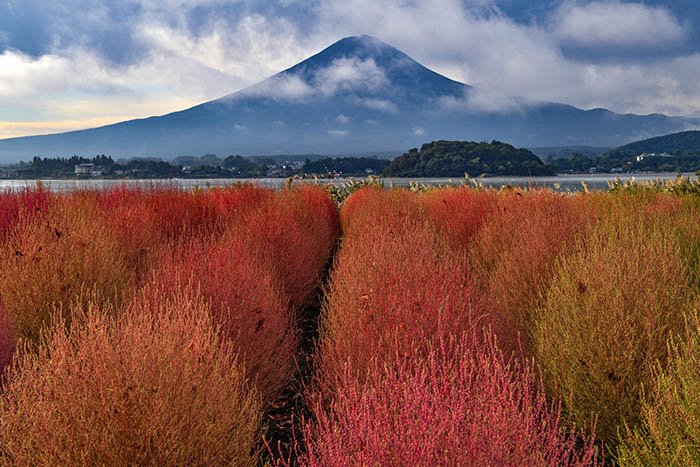 姿を現す富士山