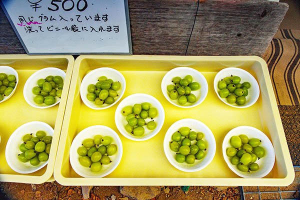 シャインマスカットを介山荘で買う