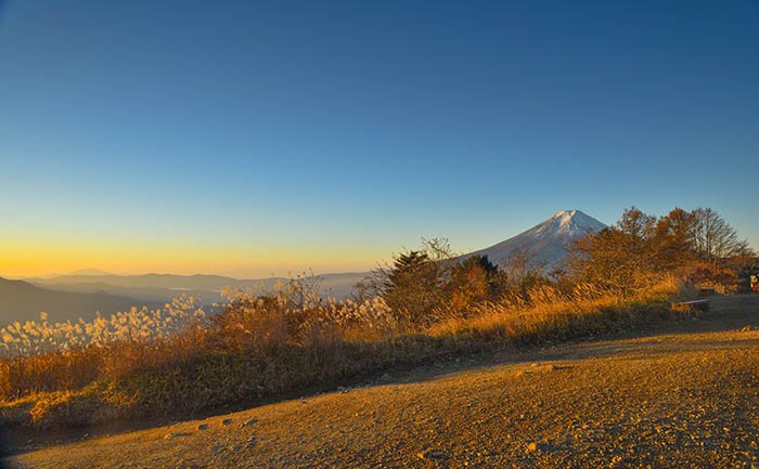 三つ峠山荘から四季楽園（山荘に向けてあるく）