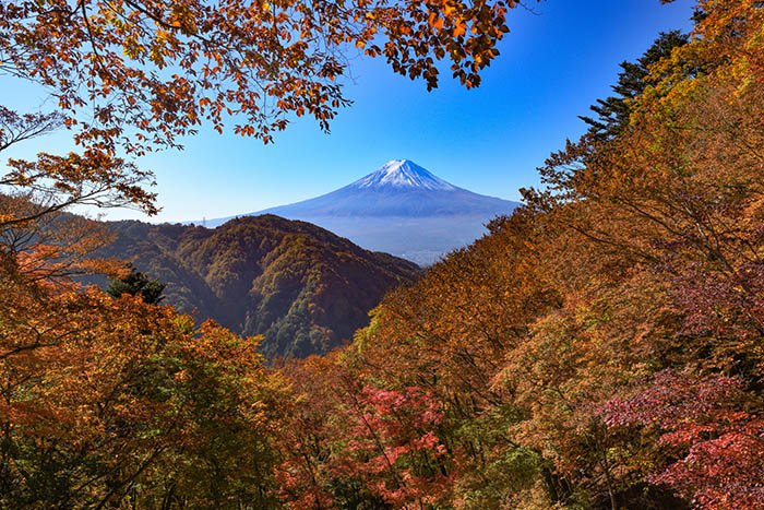 全山紅葉