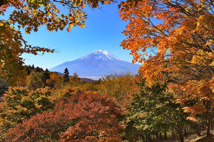 紅葉の窓から