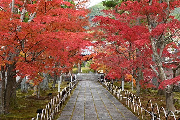 子供の撮影の人がいたので手伝いました