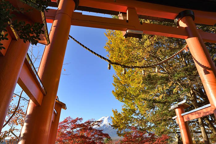 鳥居と紅葉