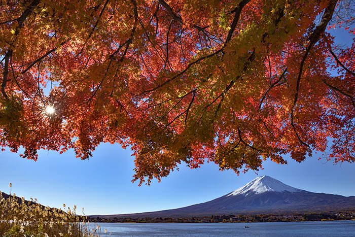 河口湖北岸の紅葉