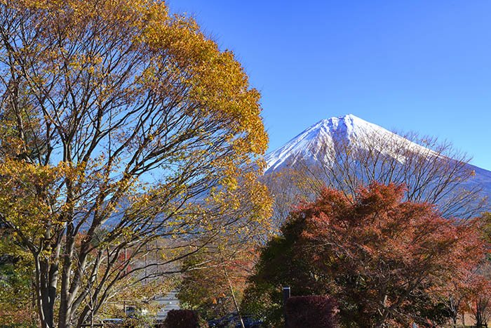 田貫湖駐車場からの富士山