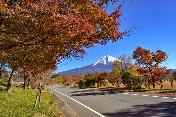 田貫湖と紅葉