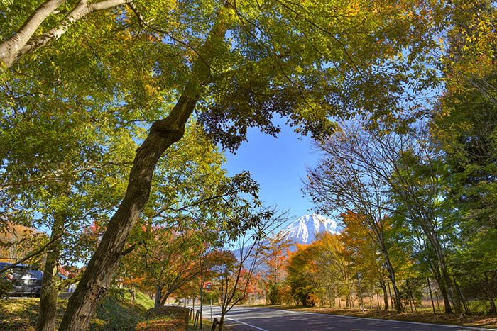 緑と紅葉の窓から富士山