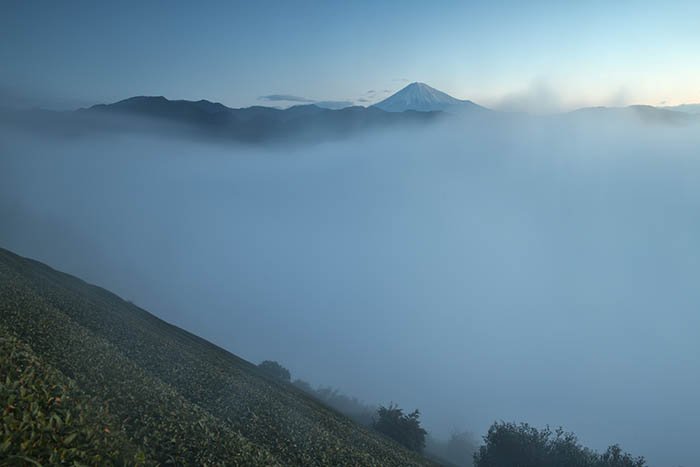 波打つ雲海