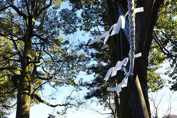 戦没者慰霊の神社かも