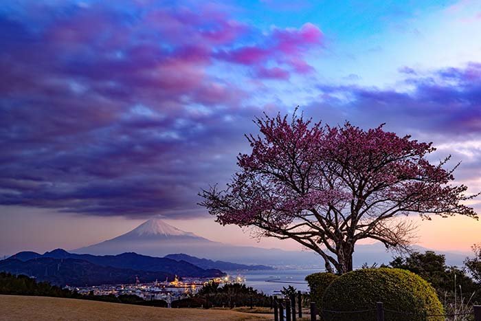 茜色に染まる空