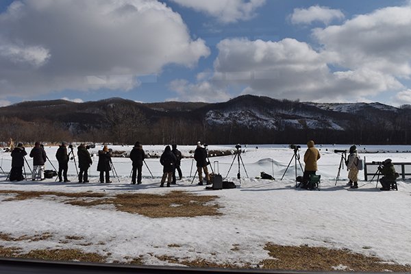 タンチョウ観察センターで合流